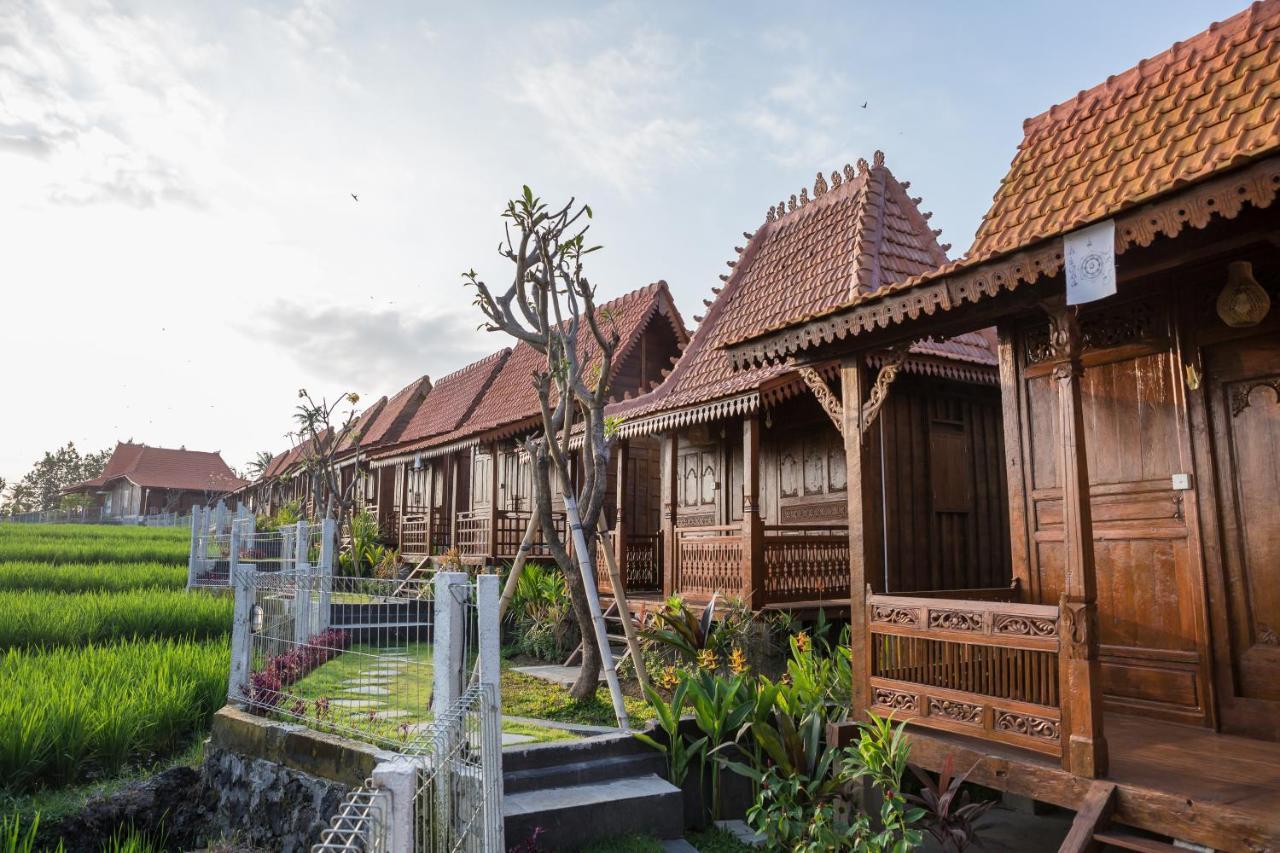 Victory Munggu Hotel Canggu Buitenkant foto